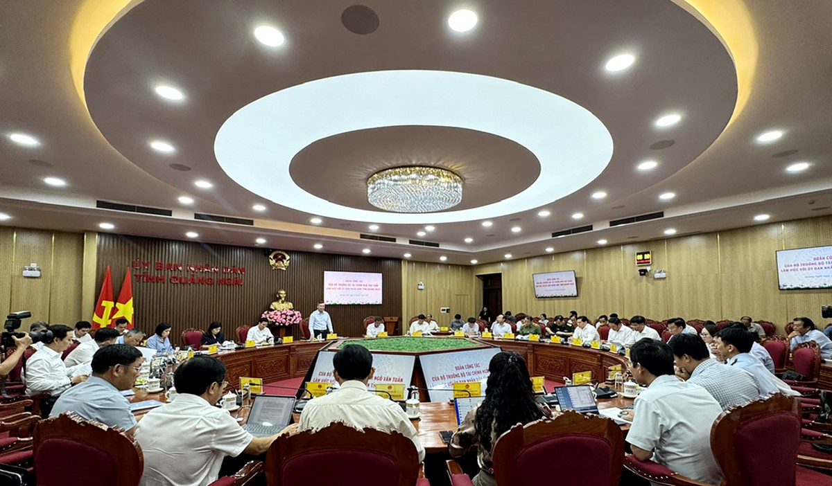 Tạo động lực đưa Quảng Ngãi trở thành trung tâm kinh tế biển năng động của quốc gia - Ảnh 2.