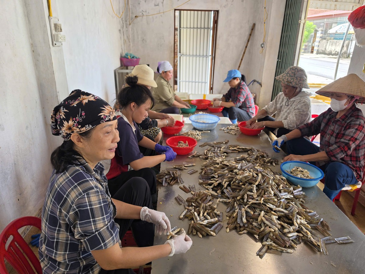 Đồng hành cùng phụ nữ phát triển kinh tế tập thể, từ ý tưởng khởi nghiệp đến việc làm bền vững- Ảnh 3.
