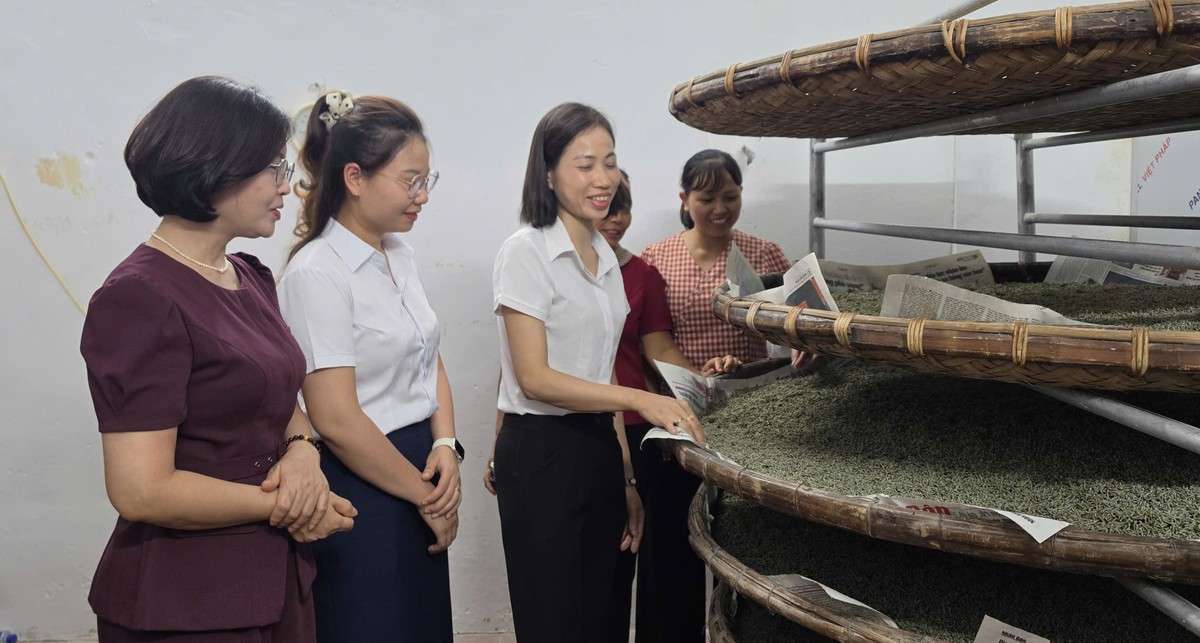 Đồng hành cùng phụ nữ phát triển kinh tế tập thể, từ ý tưởng khởi nghiệp đến việc làm bền vững- Ảnh 2.