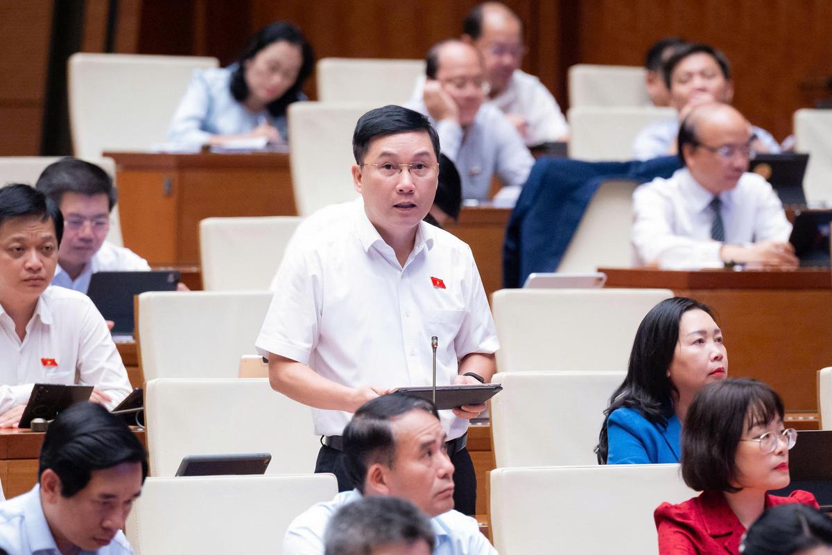 Đại biểu Quốc hội: "Cần đưa kim cương vào diện kinh doanh có điều kiện"- Ảnh 2.