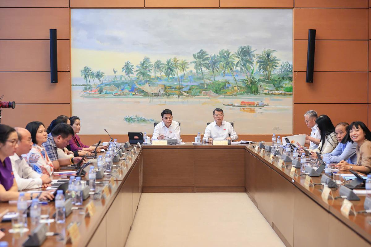 Đại biểu Trần Lan Phương: Không để hòa giải khiến nạn nhân bạo lực quay lại môi trường không an toàn - Ảnh 1.