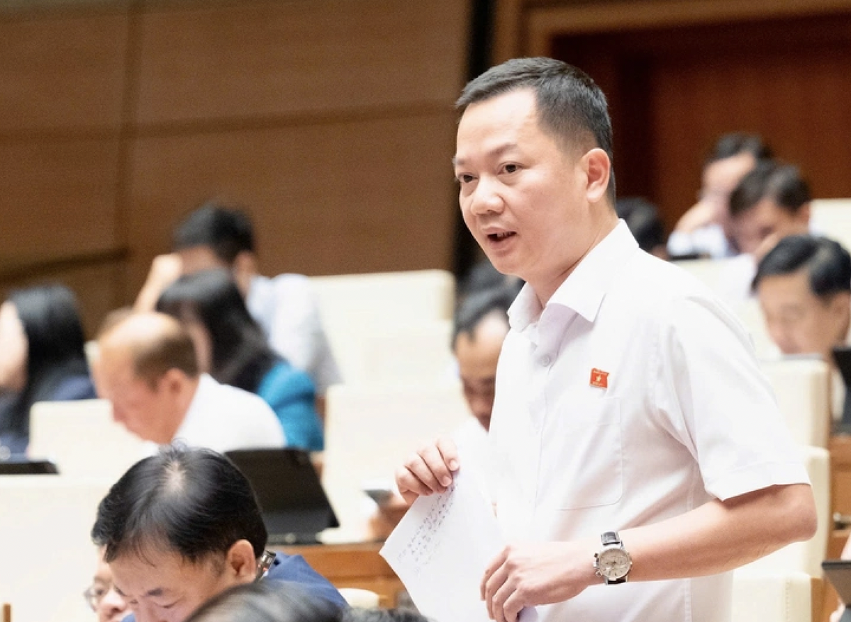 Đại biểu Quốc hội: "Cần đưa kim cương vào diện kinh doanh có điều kiện"- Ảnh 1.