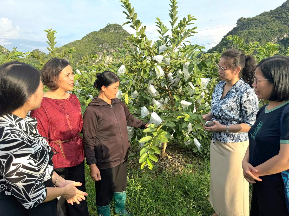 Lắng nghe từ thực tiễn để kiến tạo chính sách đồng hành cùng phụ nữ khởi nghiệp- Ảnh 3.