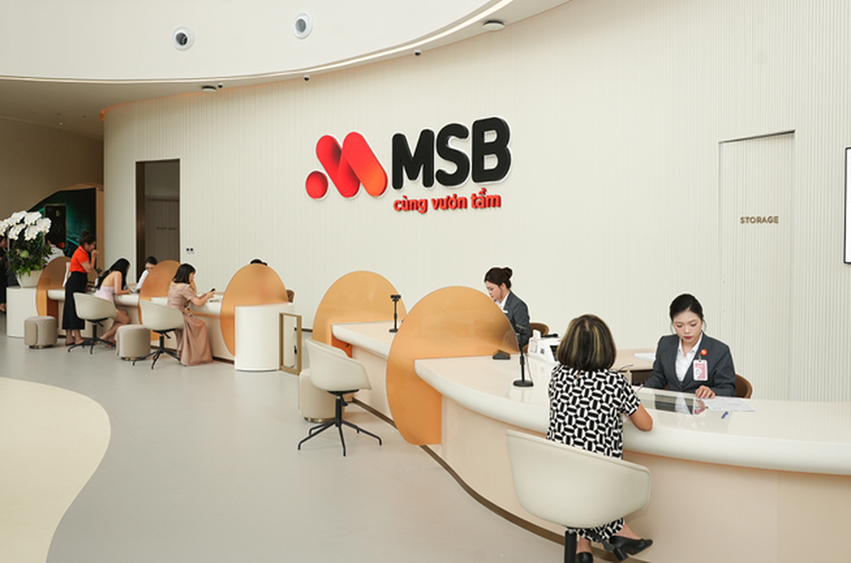 MSB: Lợi nhuận tăng nhưng bài toán chất lượng tăng trưởng vẫn còn nhiều ẩn số - Ảnh 3.