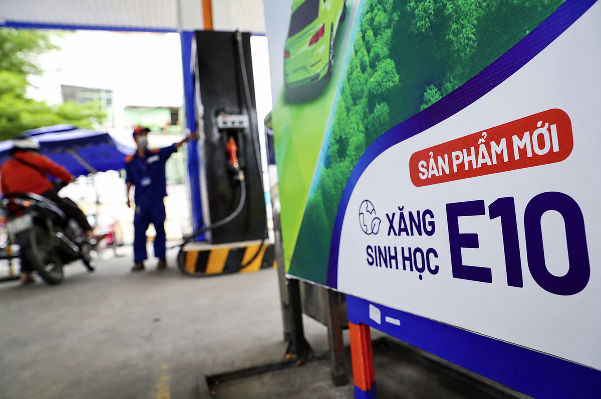 Xăng E10: Chưa phát hiện vi phạm chất lượng, nhưng nguồn cung ethanol còn điểm nghẽn - Ảnh 1.