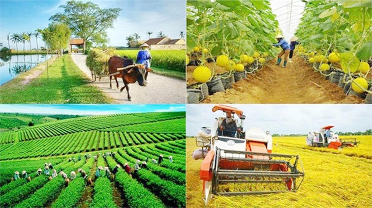 Hợp nhất 4 Chương trình mục tiêu quốc gia: Tăng phân cấp, khơi thông nguồn lực- Ảnh 2.