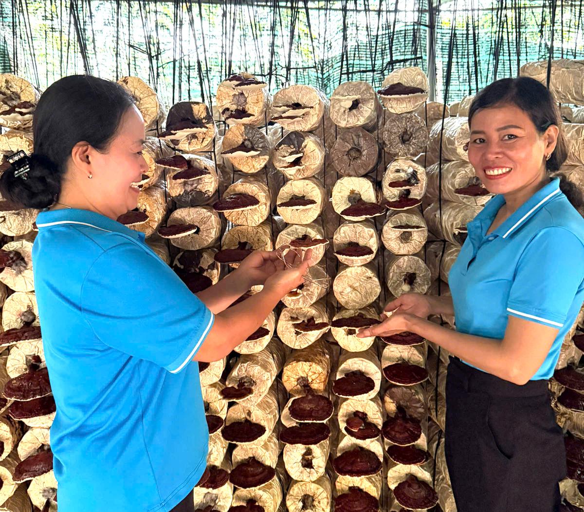 Đồng hành cùng phụ nữ phát triển kinh tế  - Ảnh 1.