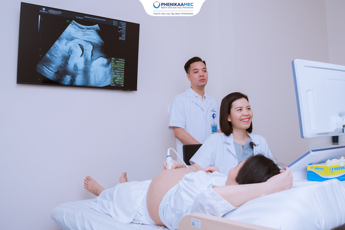 Lần đầu tiên Việt Nam tổ chức Diễn đàn Chiến lược Quốc gia về Y học bào thai và Di truyền học trước sinh- Ảnh 2.