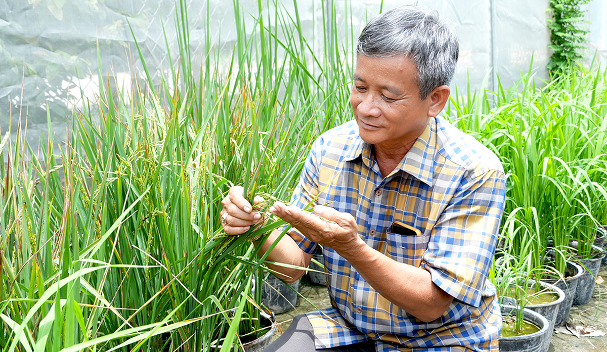 Lấp Vò: Đánh thức du lịch từ lúa gạo và đặc sản quê hương - Ảnh 2.