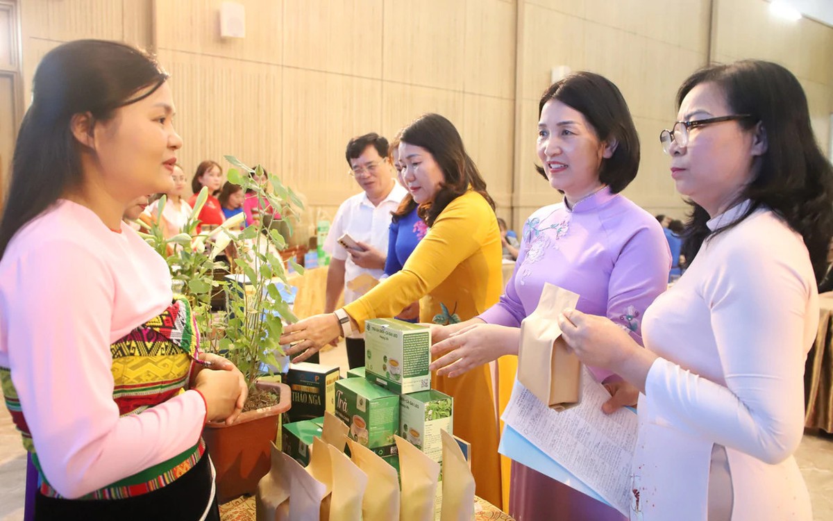 Thanh Hóa: Đề án 2415 đưa phụ nữ bứt phá trong kỷ nguyên kinh tế xanh và công nghệ số- Ảnh 2.