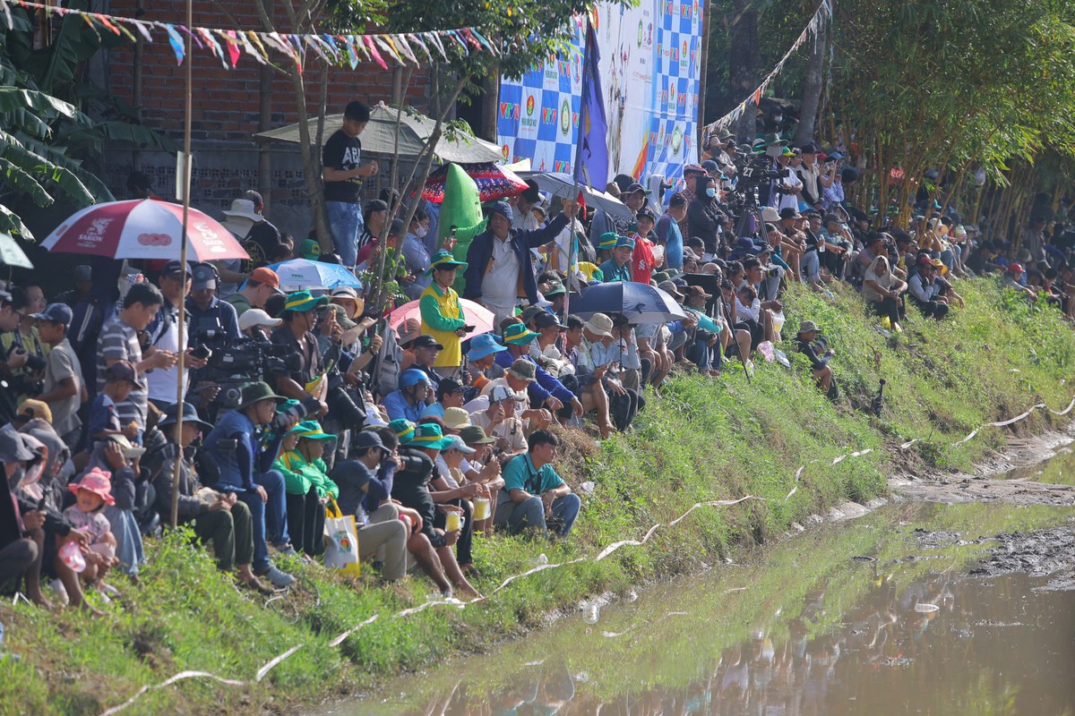 32 đôi bò sôi nổi tranh tài tại Hội đua bò truyền thống chùa Rô - Ảnh 10.
