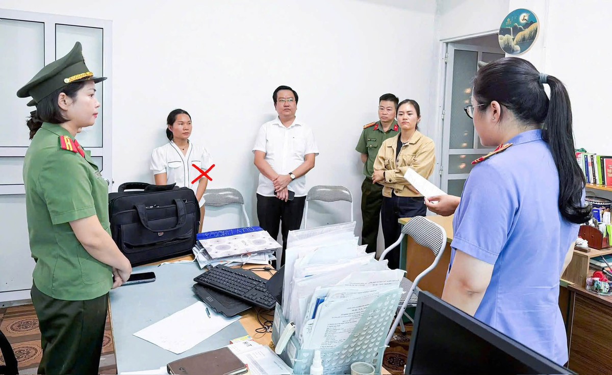Khởi tố 2 giám đốc làm giả hồ sơ mua nhà ở xã hội để trục lợi - Ảnh 2.