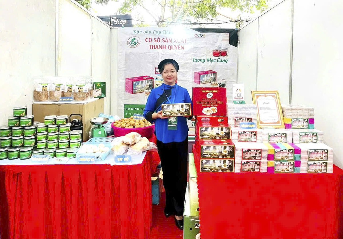 Đồng hành cùng phụ nữ vùng biên xây dựng sinh kế bền vững- Ảnh 2.