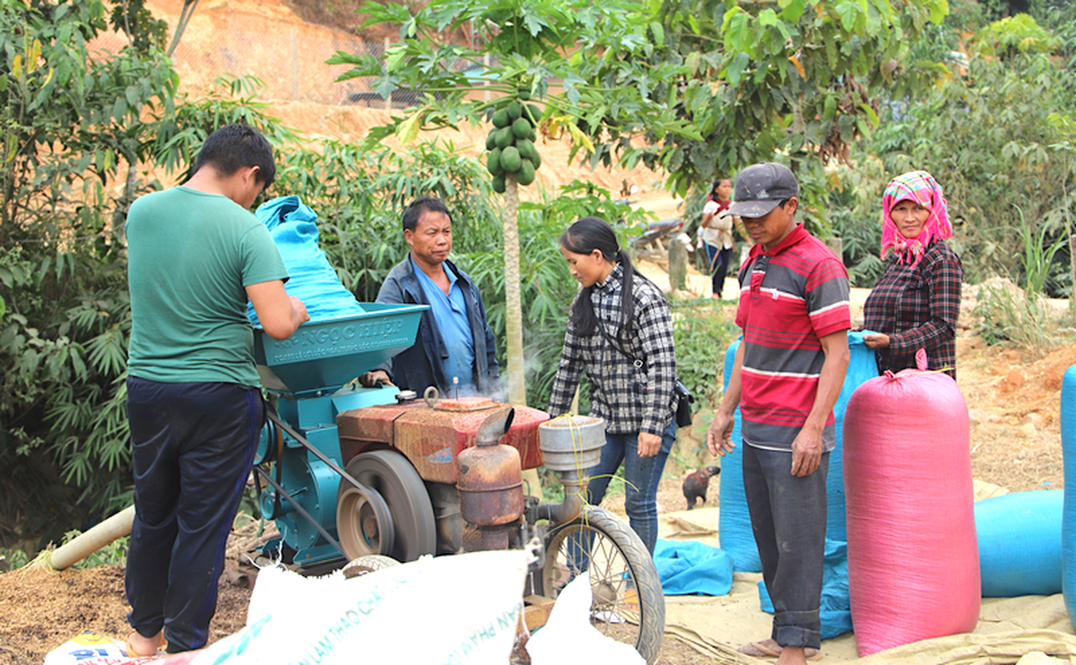 Cuộc sống không khói thuốc trên đỉnh Bắc Nguyên- Ảnh 1.
