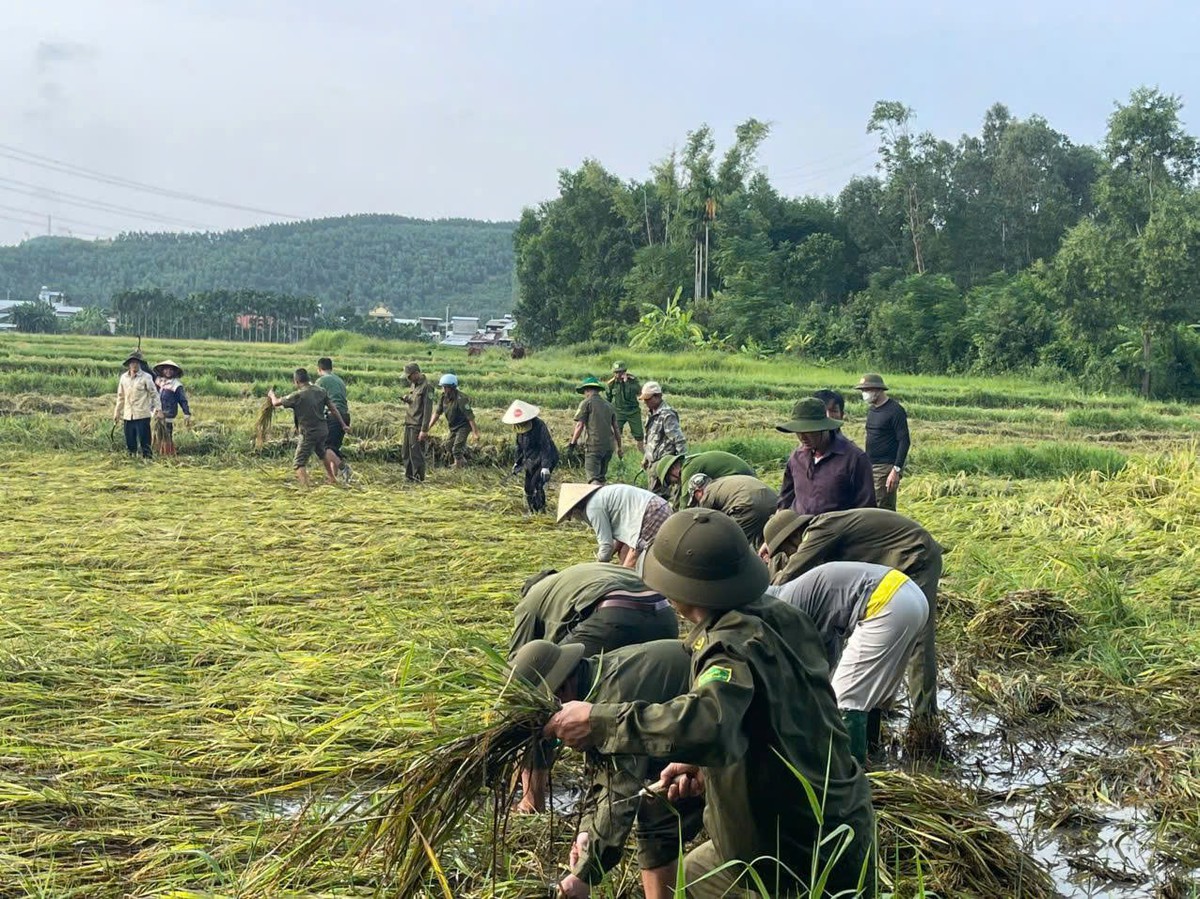 Hình ảnh Công an Đà Nẵng chủ động hỗ trợ người dân ứng phó trước mùa mưa bão - Ảnh 2.