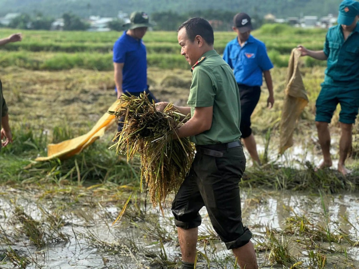 Hình ảnh Công an Đà Nẵng chủ động hỗ trợ người dân ứng phó trước mùa mưa bão - Ảnh 3.