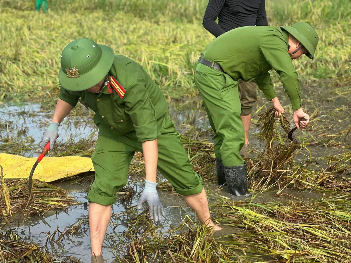 Hình ảnh Công an Đà Nẵng chủ động hỗ trợ người dân ứng phó trước mùa mưa bão - Ảnh 1.