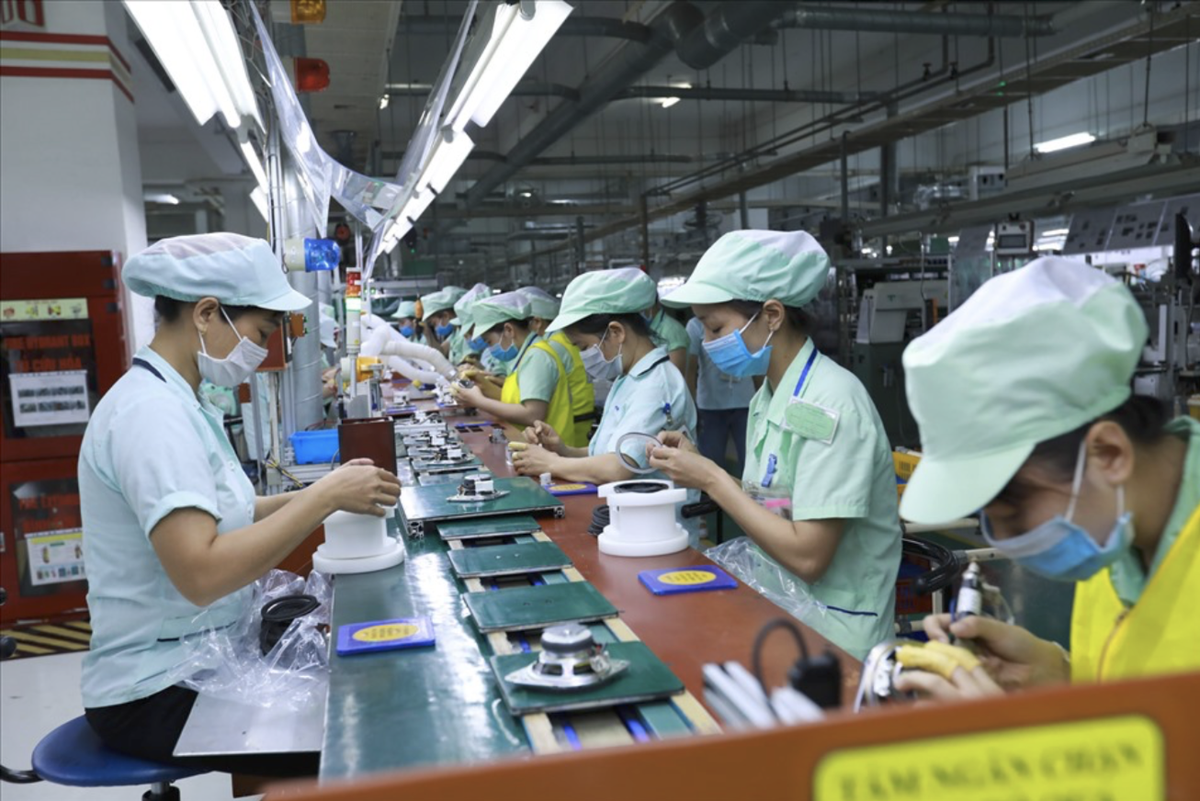 Nợ BHXH: Chậm đóng hay trốn đóng khác nhau như thế nào? - Ảnh 1.