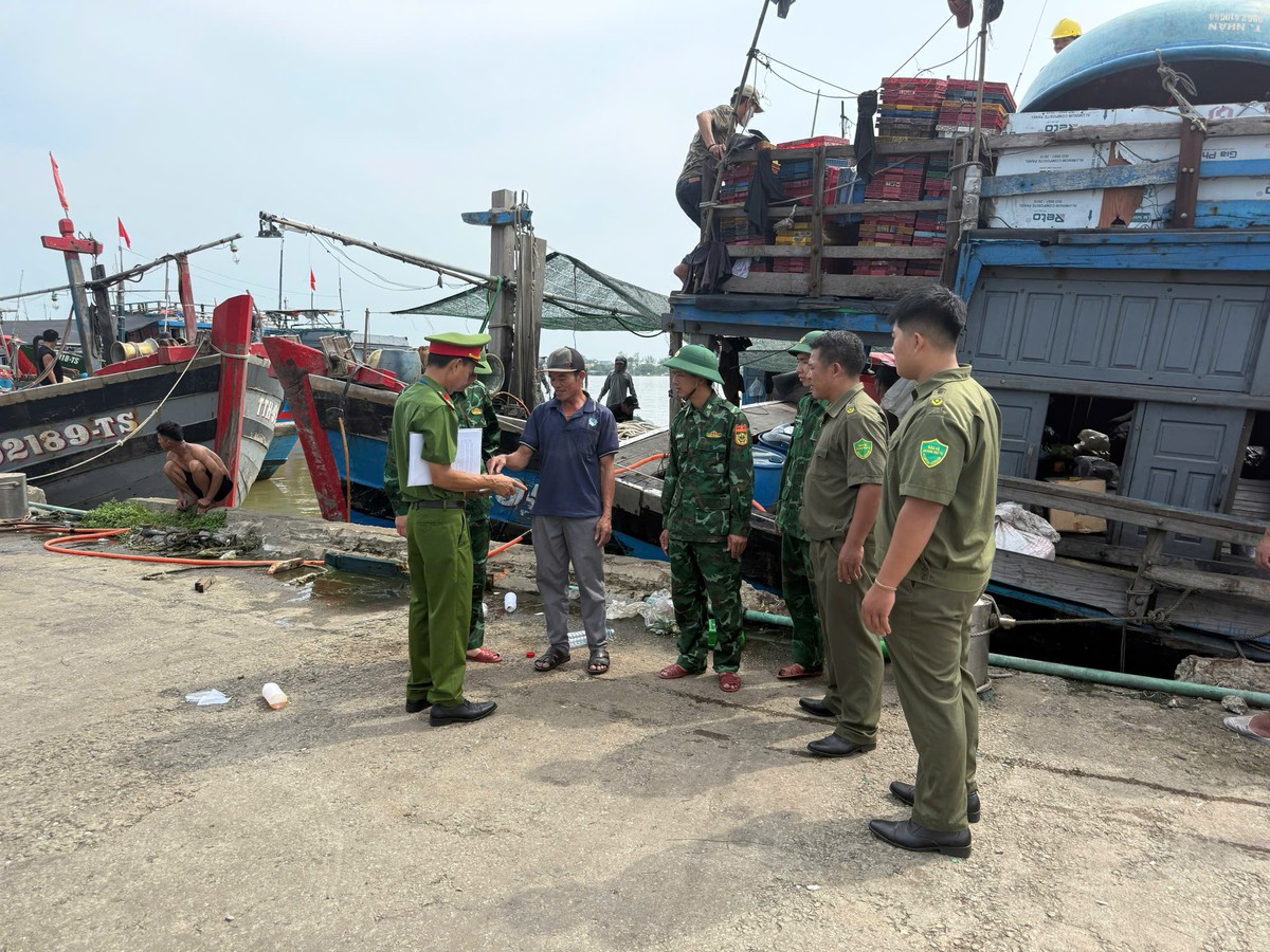 TP Huế: Chủ động bảo vệ tàu thuyền, tài sản trước mùa mưa bão về - Ảnh 3.