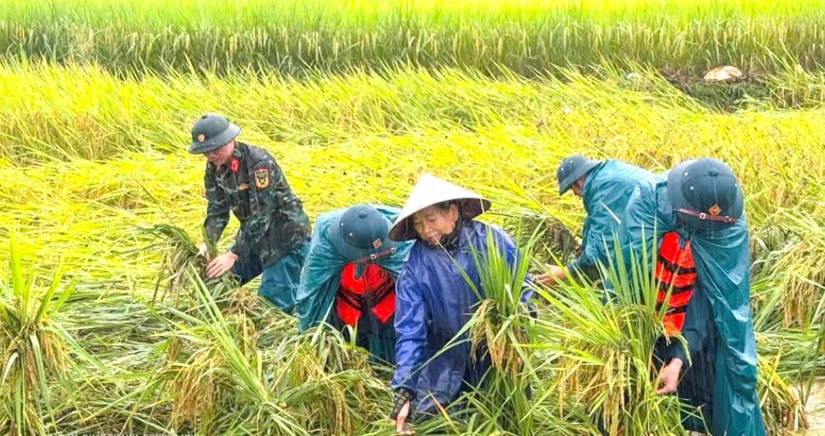 Mưa lớn kéo dài, cảnh báo lũ trên các tuyến sông - Ảnh 2.