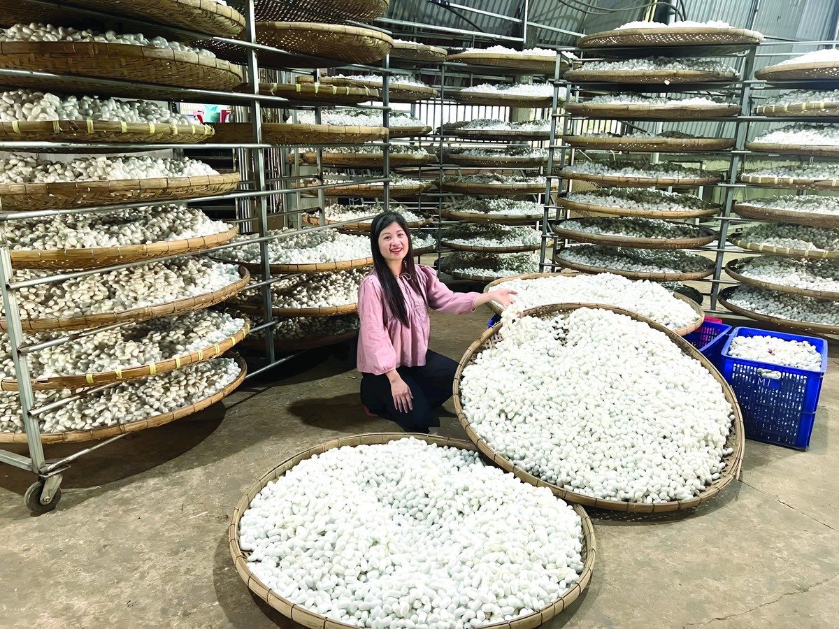 Giữ hồn lụa đũi Nam Cao - Ảnh 2.