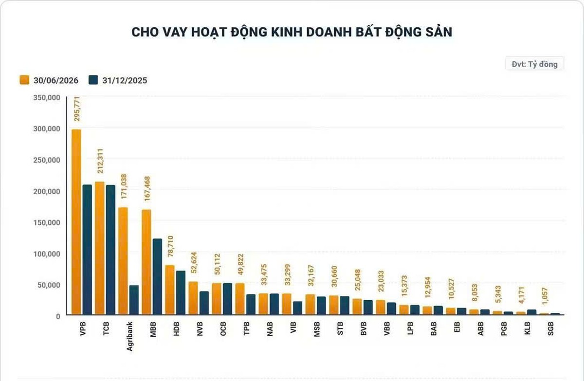 Tín dụng bất động sản tăng mạnh: Dòng vốn đang tạo lực đẩy hay tích tụ rủi ro? - Ảnh 2.