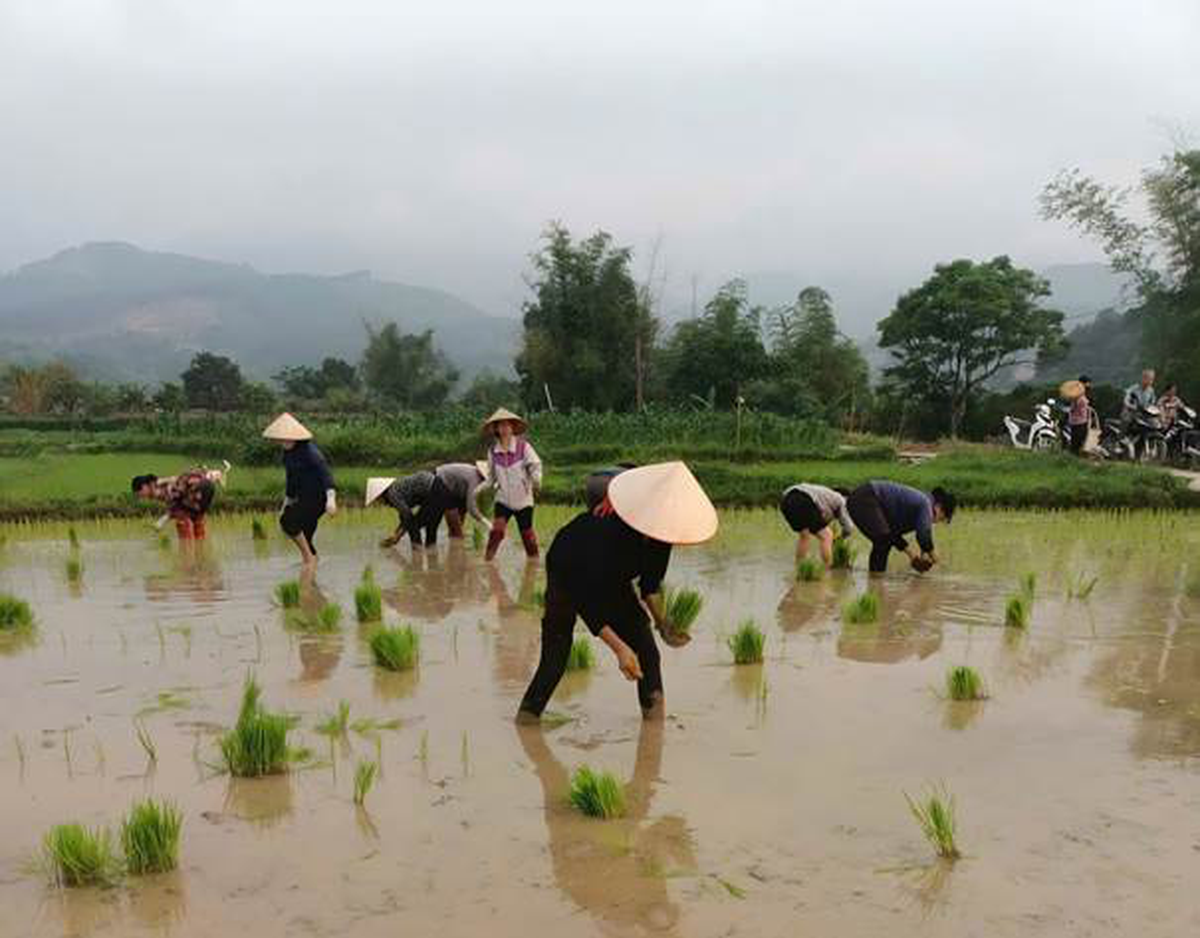 Sửa Luật Đất đai và những tác động giới: Nhìn từ nguyên tắc pháp lý đến sinh kế thực tế- Ảnh 2.