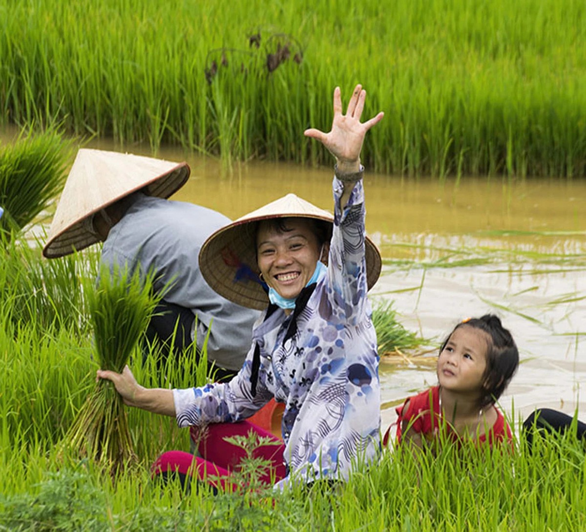 Sửa Luật Đất đai và những tác động giới: Nhìn từ nguyên tắc pháp lý đến sinh kế thực tế- Ảnh 1.