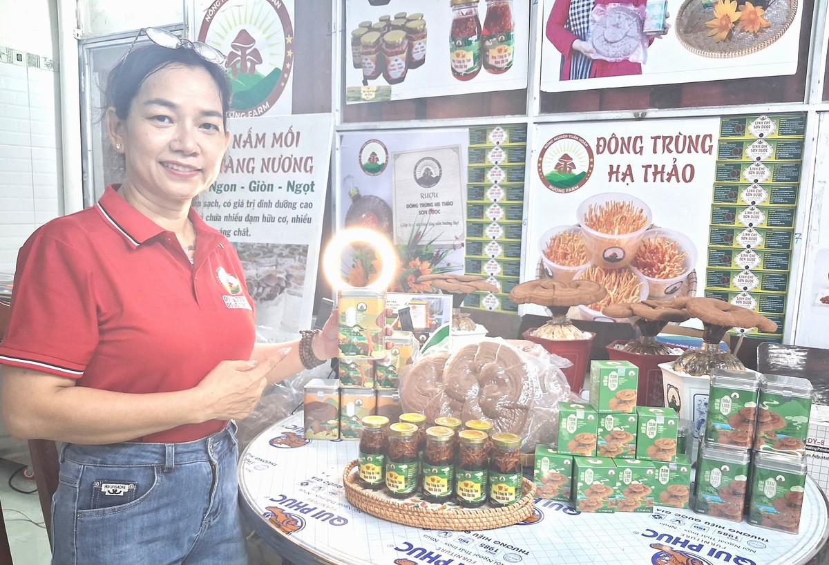 Nông dân miền Tây ứng dụng công nghệ vào sản xuất, kinh doanh - Ảnh 5.