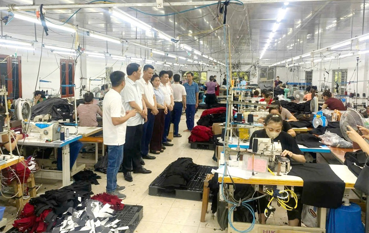 100 triệu đồng vốn vay khởi đầu những sinh kế mới của phụ nữ nông thôn - Ảnh 1.