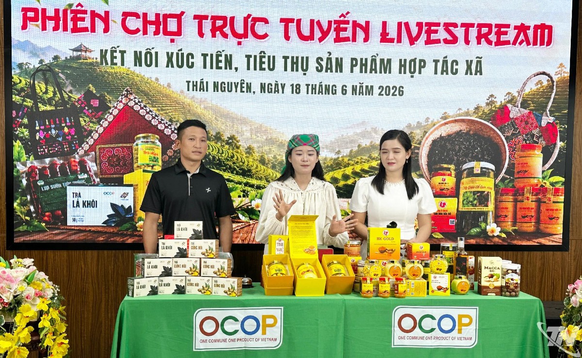 AI và thương mại điện tử mở rộng thị trường cho hợp tác xã phát triển - Ảnh 4.