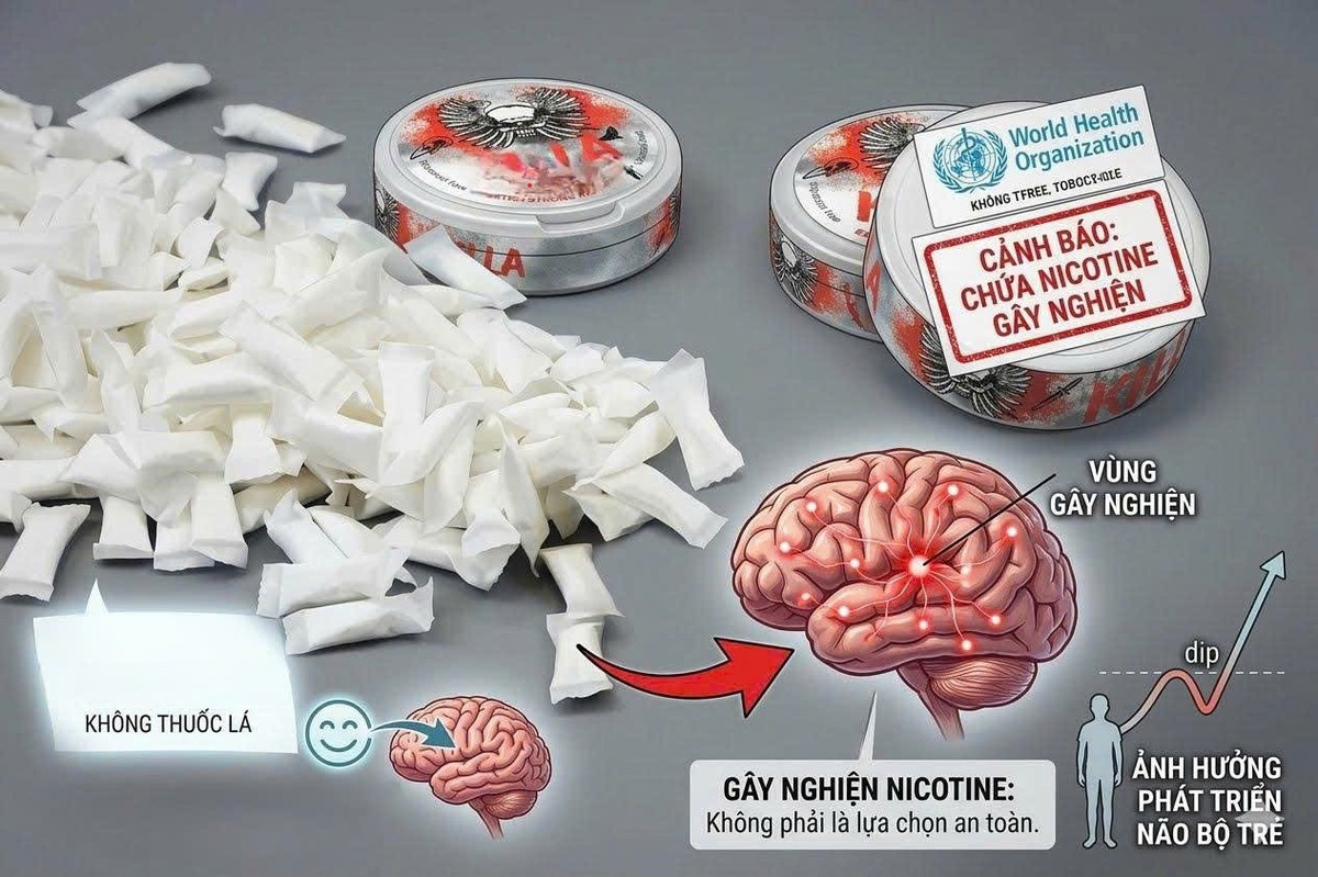 Từ "không khói" đến "không bị chú ý": Sự nguy hiểm nếu nicotine dần được bình thường hóa- Ảnh 1.