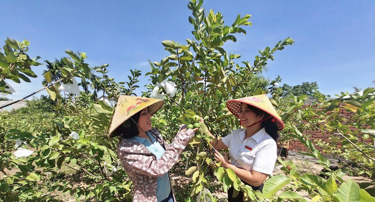 Lần đầu tiên Bộ Công an - TƯ Hội Nông dân Việt Nam tổ chức Diễn đàn “Lắng nghe nông dân nói” - Ảnh 1.