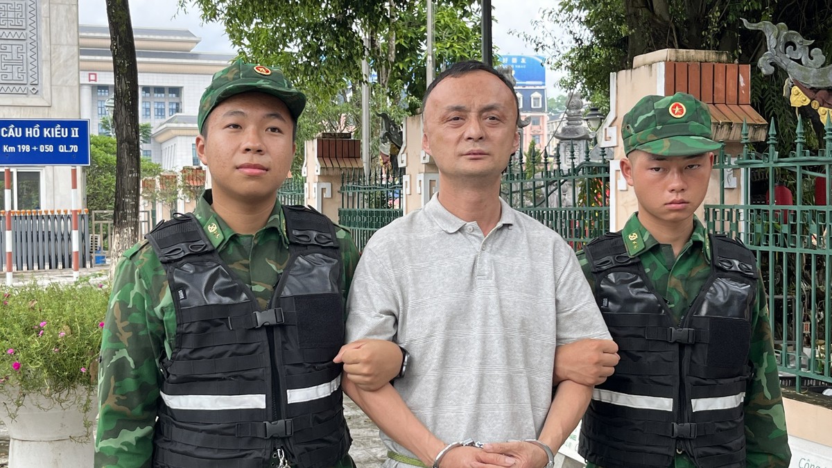 Lào Cai: Khởi tố đường dây xuyên quốc gia tổ chức cho người nước ngoài nhập cảnh trái phép - Ảnh 1.