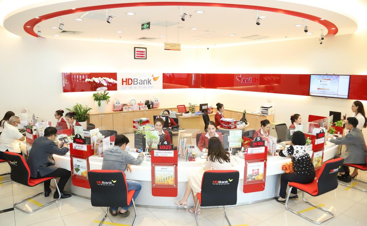 HDBank tăng vốn gần 44%: Phía sau 22.000 tỷ đồng là gì? - Ảnh 3.