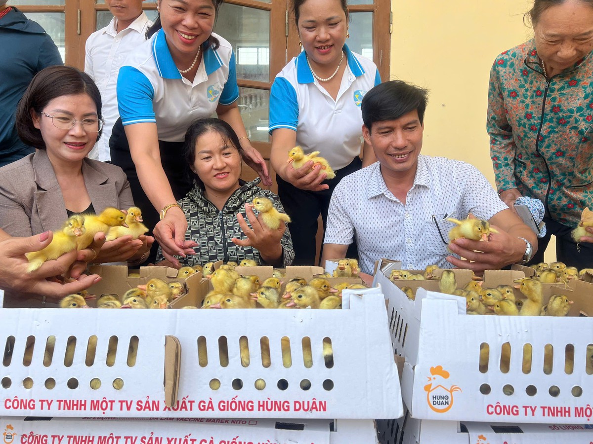 Hội LHPN tỉnh Hưng Yên trao hỗ trợ sinh kế cho 50 hộ gia đình phụ nữ nghèo- Ảnh 1.