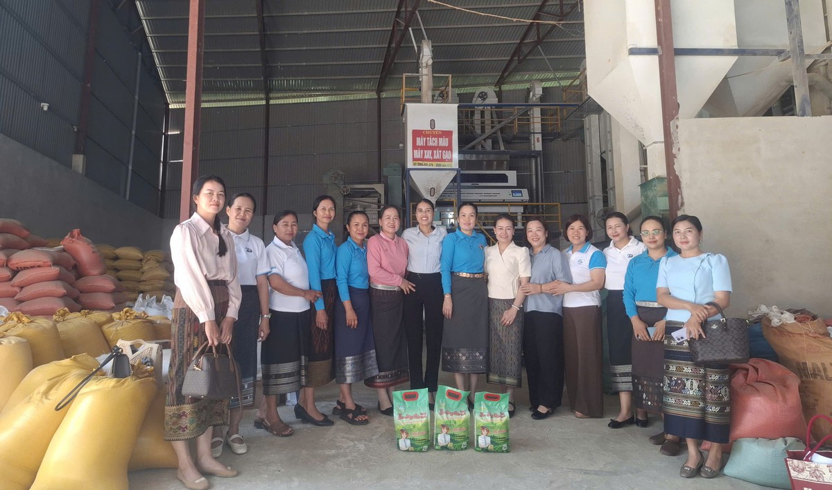 Đoàn đại biểu Hội LHPN 3 tỉnh Bắc Lào ký kết hợp tác giai đoạn 2026 - 2031 tại tỉnh Điện Biên- Ảnh 5.