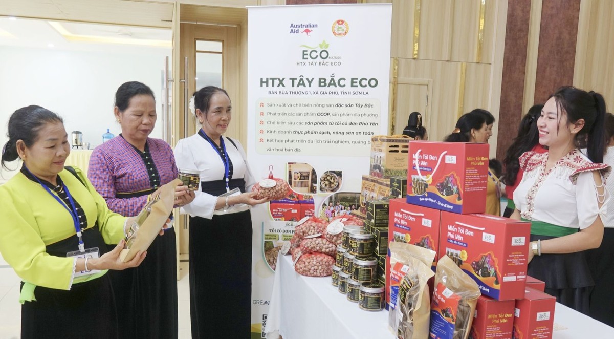 Kinh tế tập thể do phụ nữ quản lý tạo động lực hướng tới tăng trưởng bao trùm và bền vững- Ảnh 4.
