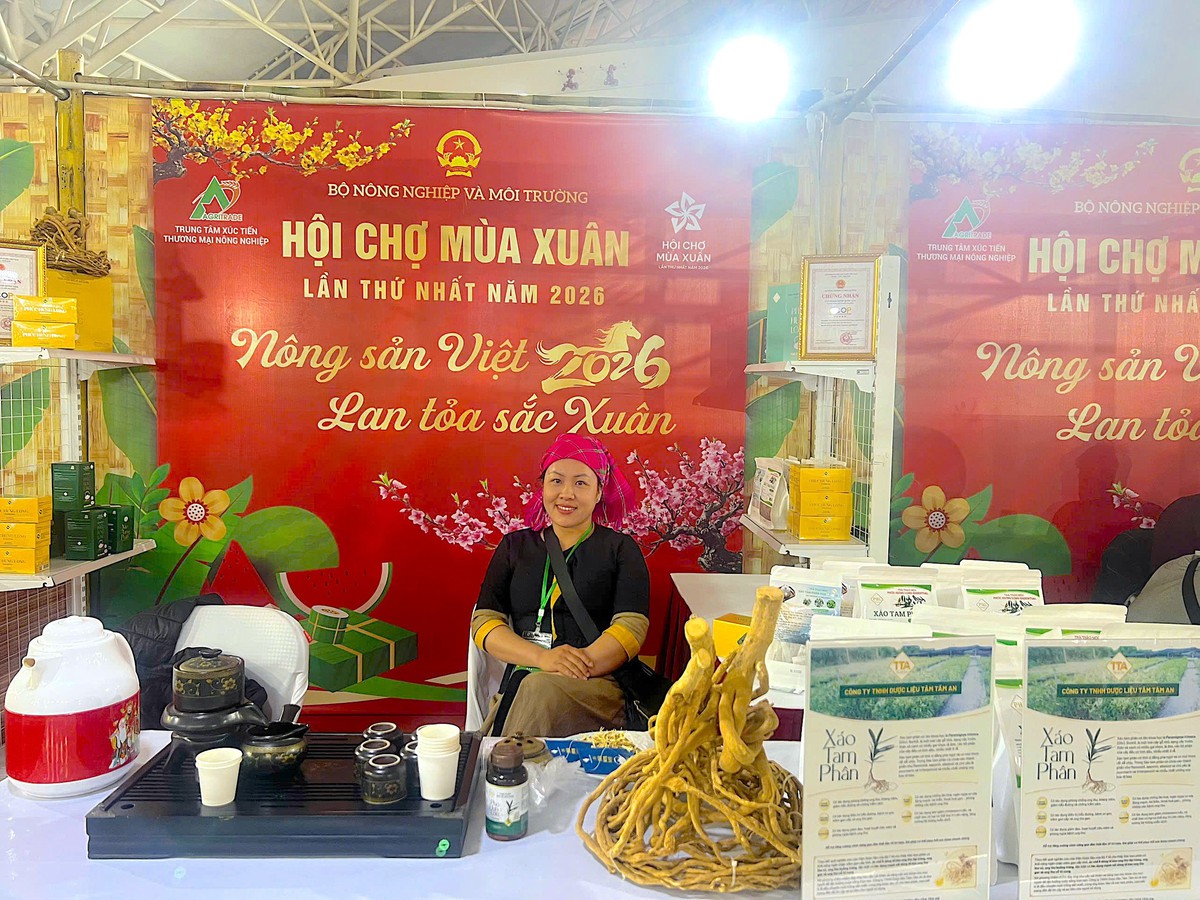 Đánh thức "giọt ngọc" mắc ca - Khát vọng nâng tầm nông sản Việt - Ảnh 1.