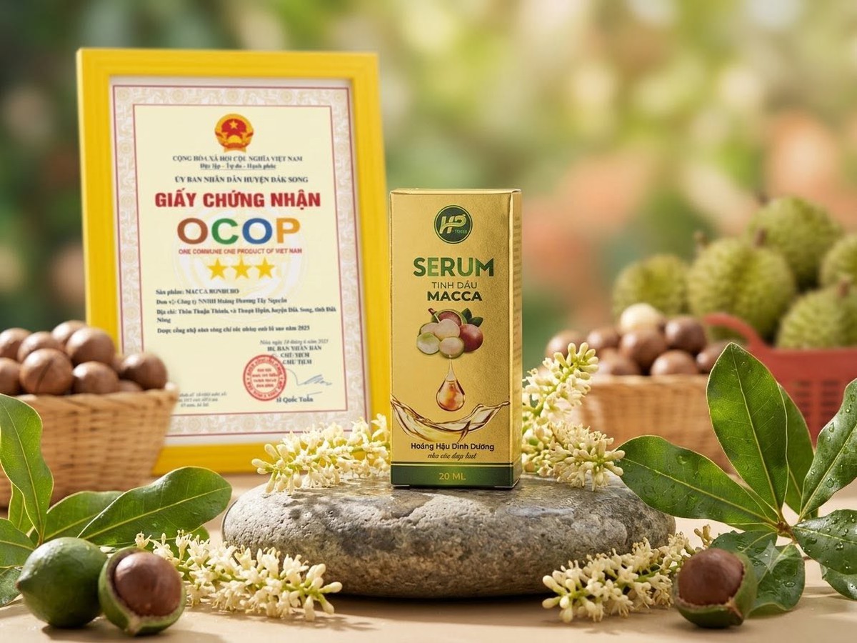 Đánh thức "giọt ngọc" mắc ca - Khát vọng nâng tầm nông sản Việt - Ảnh 3.