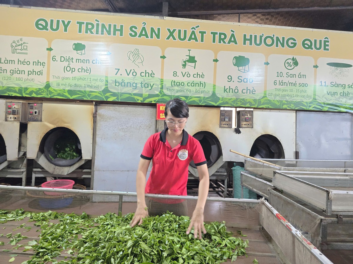 Phụ nữ phát triển du lịch cộng đồng, đưa bản làng thành điểm đến nổi tiếng - Ảnh 2.