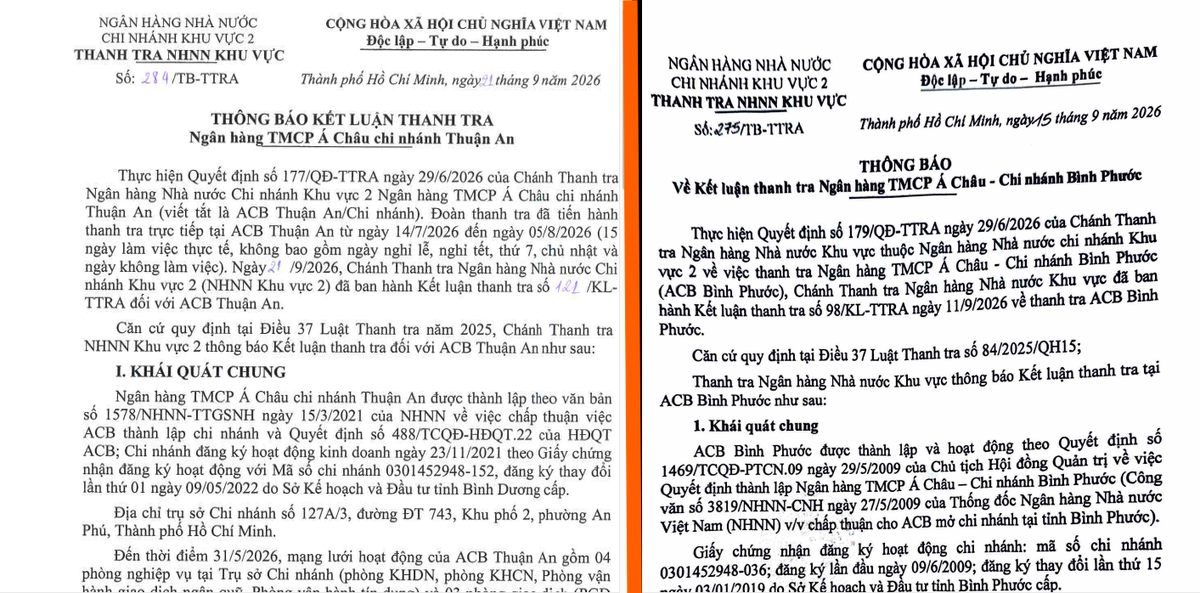 Nhiều chi nhánh ACB bị thanh tra gọi tên: Áp lực tín dụng và nguồn vốn cùng tăng- Ảnh 1.