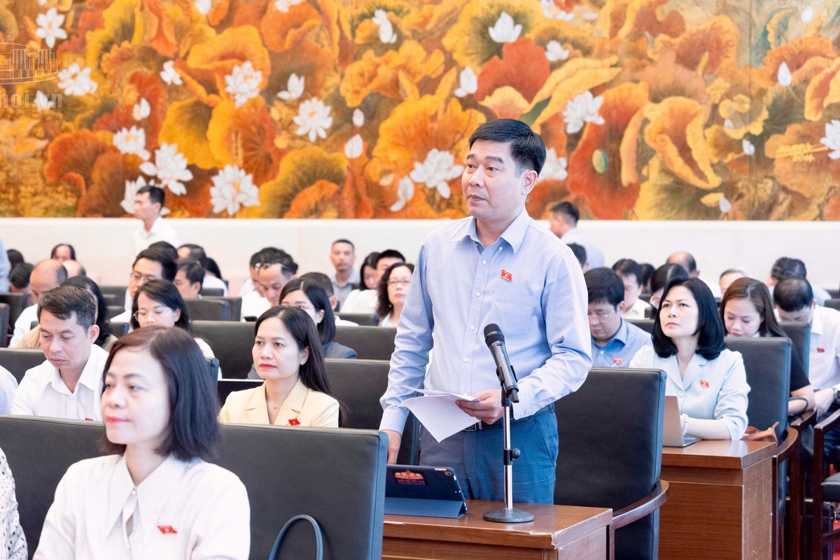 Đại biểu: Doanh nghiệp nhỏ chưa kịp có lãi đã hết ưu đãi thuế - Ảnh 3.