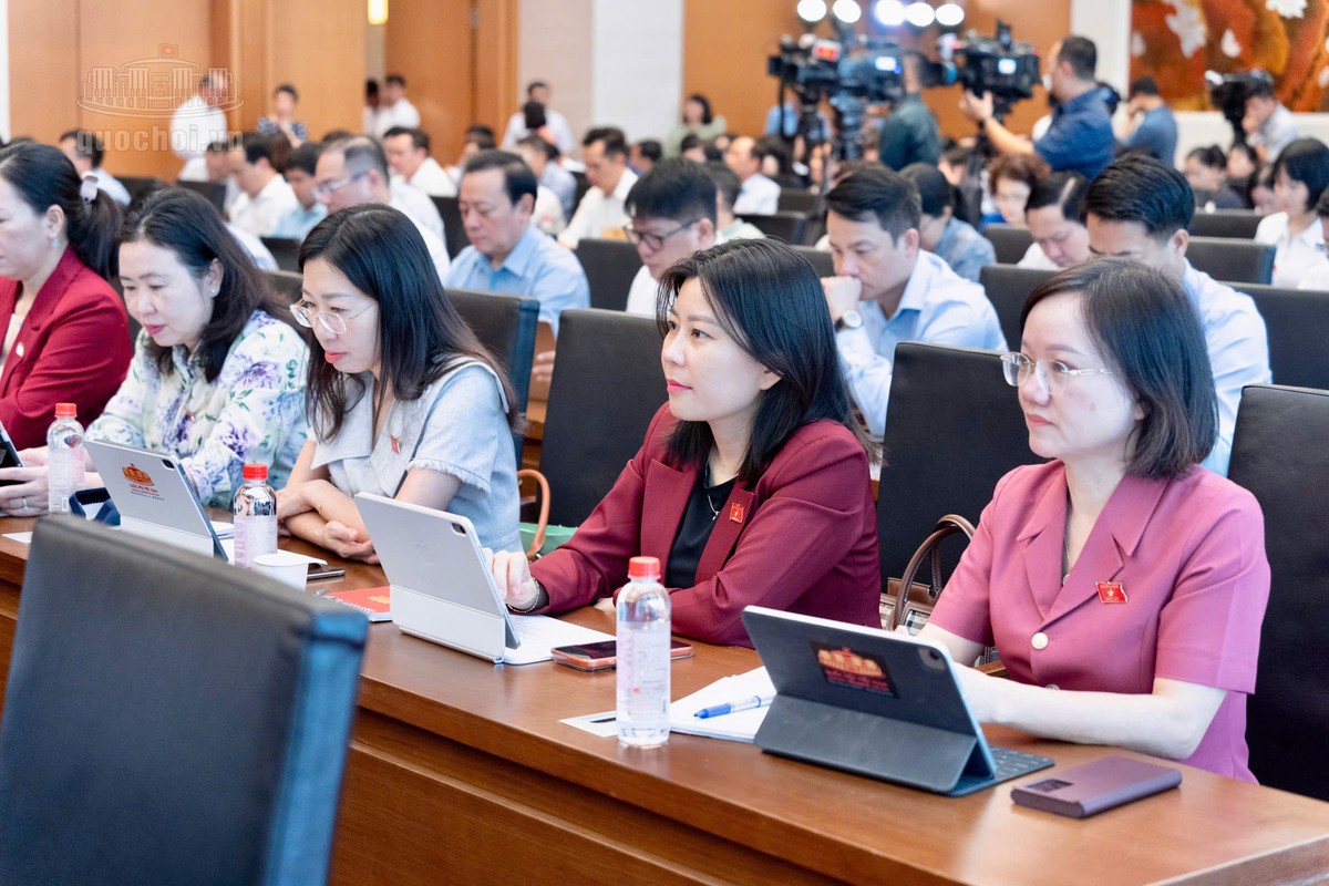 Đại biểu: Doanh nghiệp nhỏ chưa kịp có lãi đã hết ưu đãi thuế - Ảnh 1.