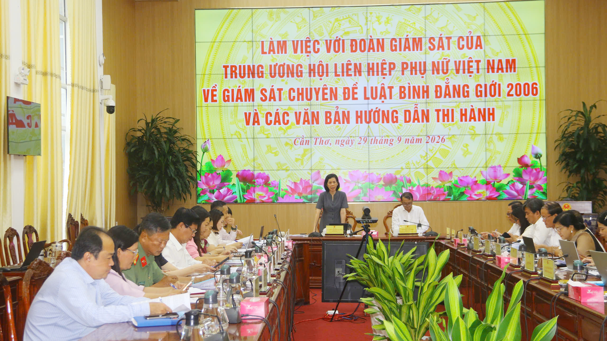Trung ương Hội LHPN Việt Nam giám sát Luật Bình đẳng giới tại TP Cần Thơ - Ảnh 1.