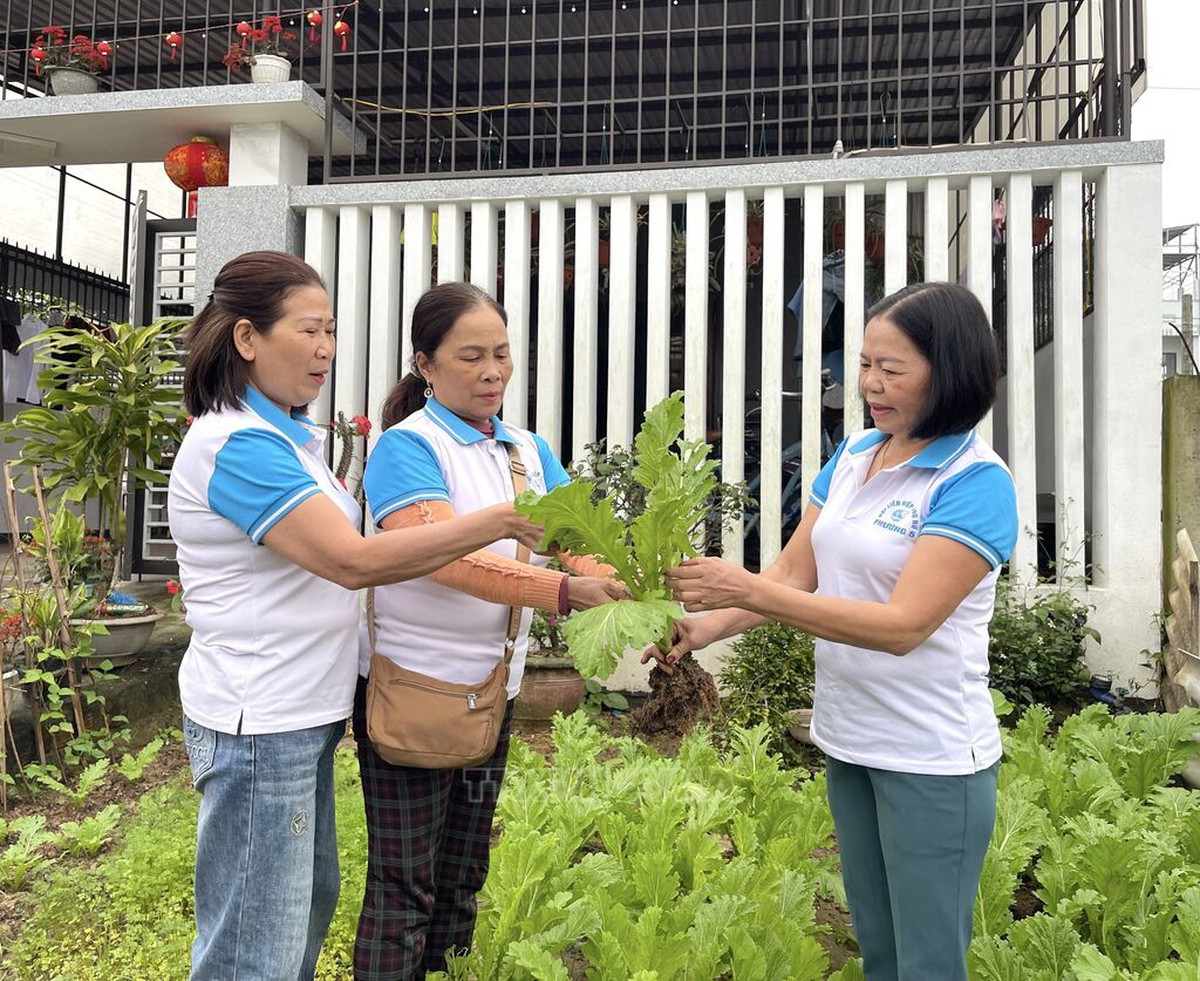 Hội LHPN Việt Nam triển khai thực hiện phong trào thi đua Vì một Việt Nam xanh - sạch - đẹp- Ảnh 4.