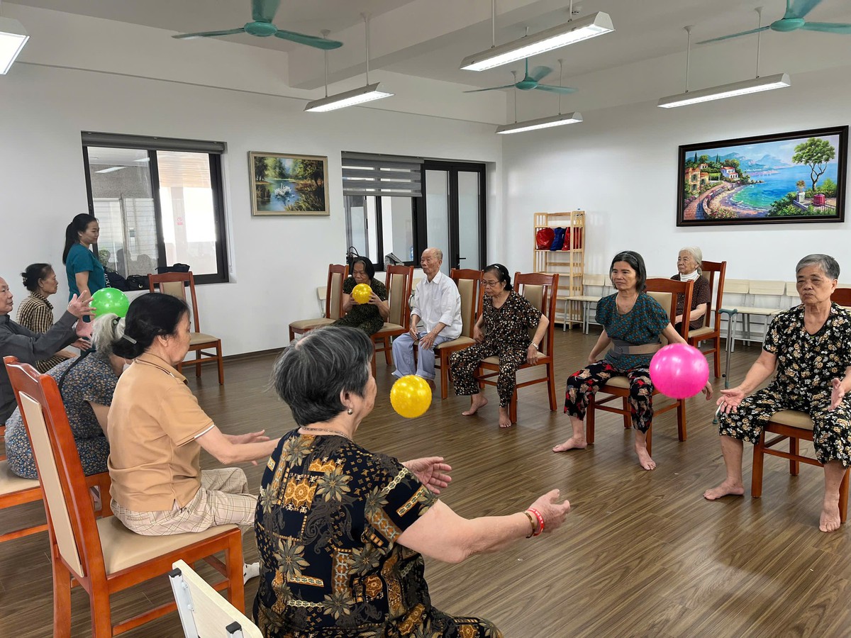 Từ "việc nhà" đến hệ sinh thái chăm sóc người cao tuổi- Ảnh 5.