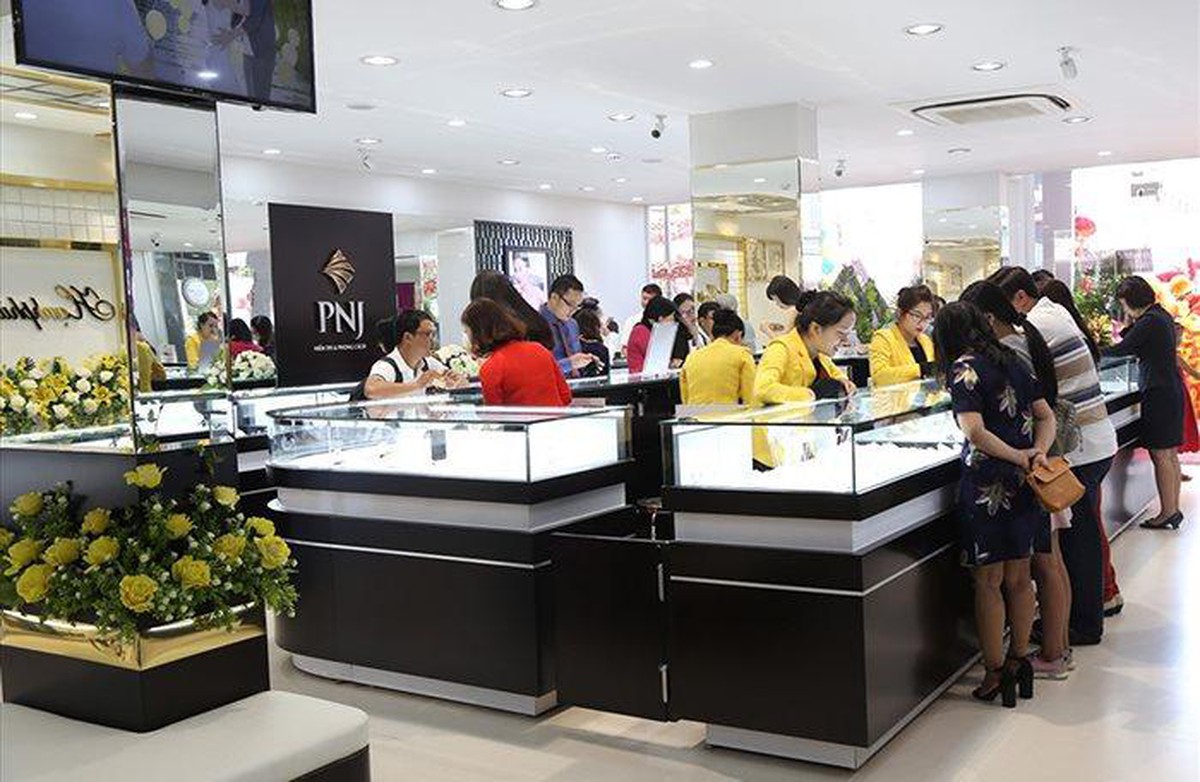 PNJ muốn phát hành 550 triệu cổ phiếu: Cấu trúc cổ đông sẽ đổi ra sao? - Ảnh 3.
