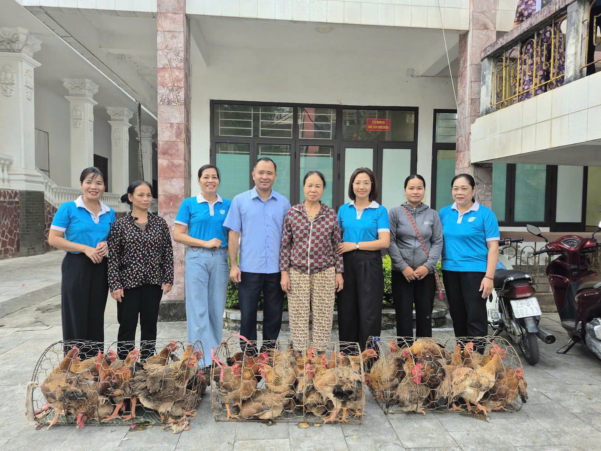 Tuyên Quang: Trao tặng con giống hỗ trợ hội viên phát triển kinh tế gia đình - Ảnh 2.