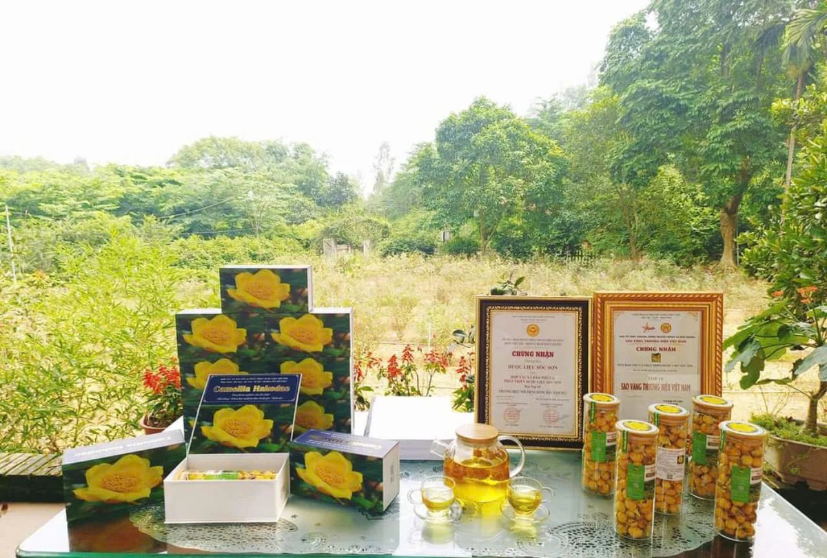 Hà Nội tạo “bệ phóng” hỗ trợ phụ nữ bứt phá khởi nghiệp - Ảnh 1.